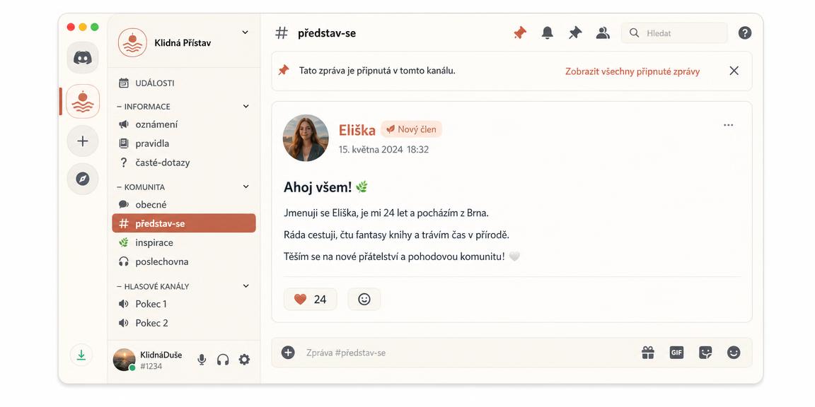 Ukázka příspěvku v kanálu představ-se na Discordu